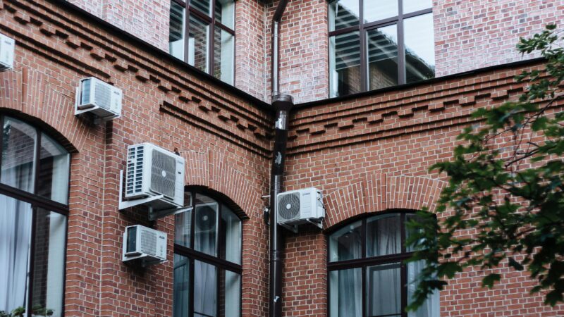 pexels-ron-lach-10251073